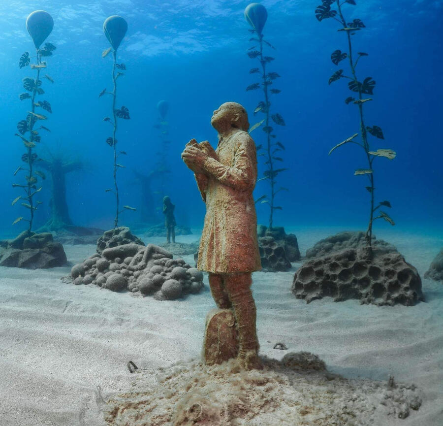 see sea turtles in the sea in cyprus and swim next to a living dinosaur
