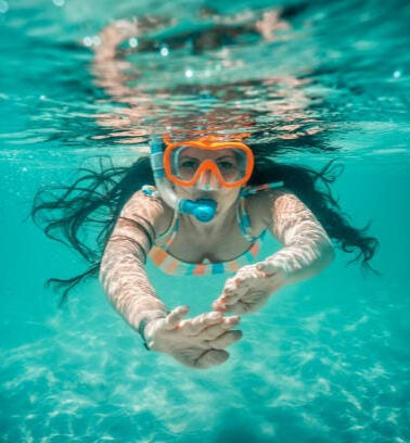 see sea turtles in the sea in cyprus and swim next to a living dinosaur